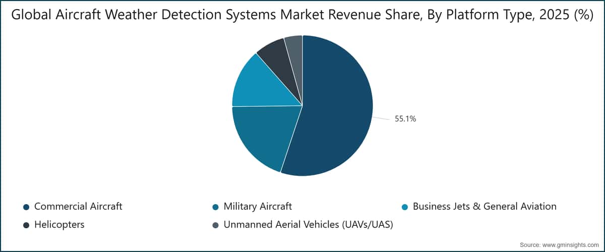 Global Aircraft Weather Detection Systems Market Revenue Share, By Platform Type, 2025 (%)