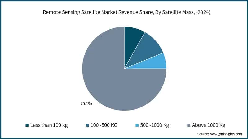 Remote Sensing Satellite Market Revenue Share, By Satellite Mass, (2024)