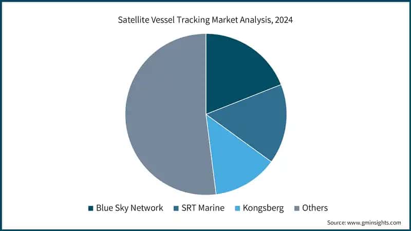 Satellite Vessel Tracking Market Analysis, 2024