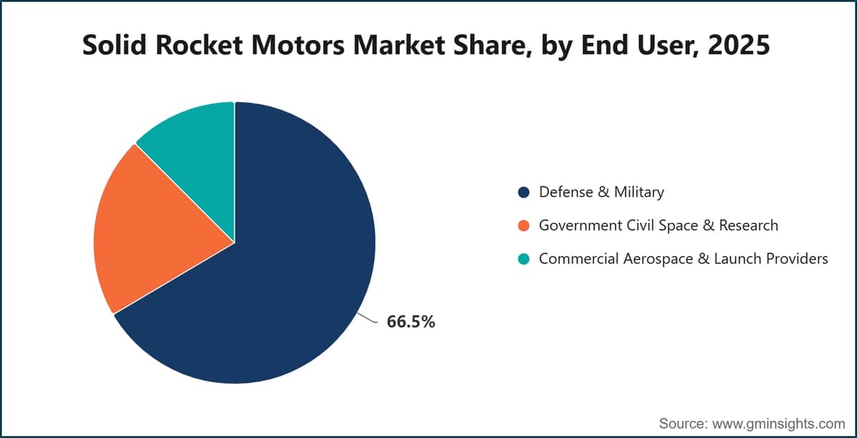 Solid Rocket Motors Market Share, by End User, 2025