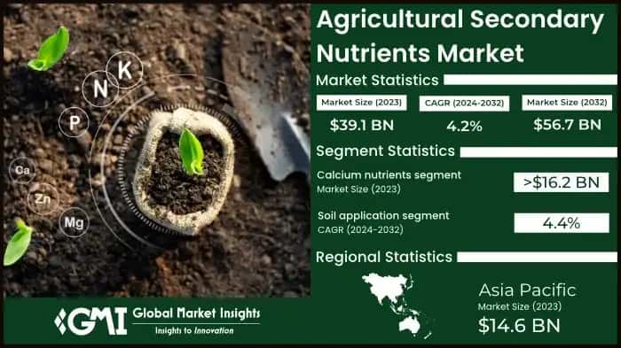 Agricultural Secondary Nutrients Market
