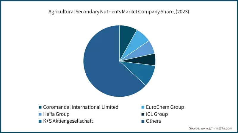 Agricultural Secondary Nutrients Market Company Share, (2023)