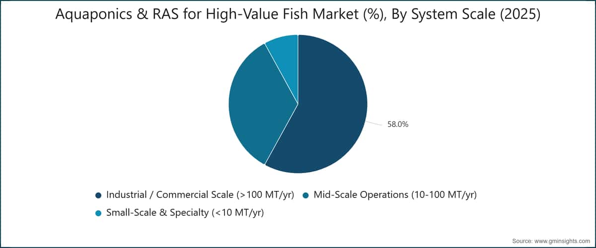 Aquaponics & RAS for High-Value Fish Market (%), By System Scale (2025)