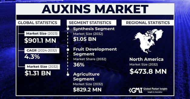 Auxins Market
