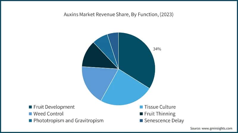 Auxins Market Revenue Share, By Function, (2023)