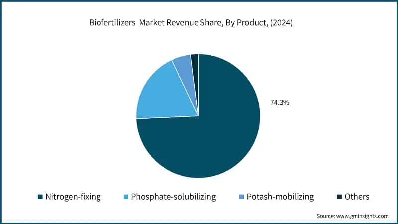 Quota di ricavi del mercato dei biofertilizzanti, Per prodotto, (2024)