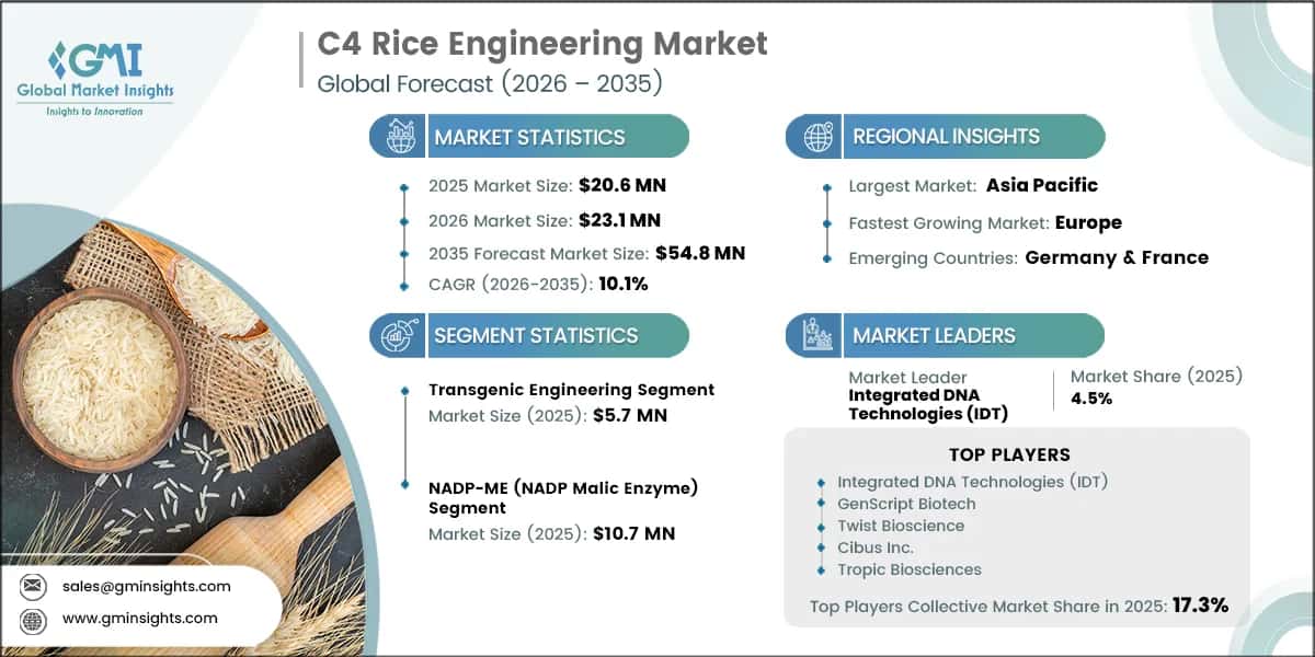 C4 Rice Engineering Market Research Report
