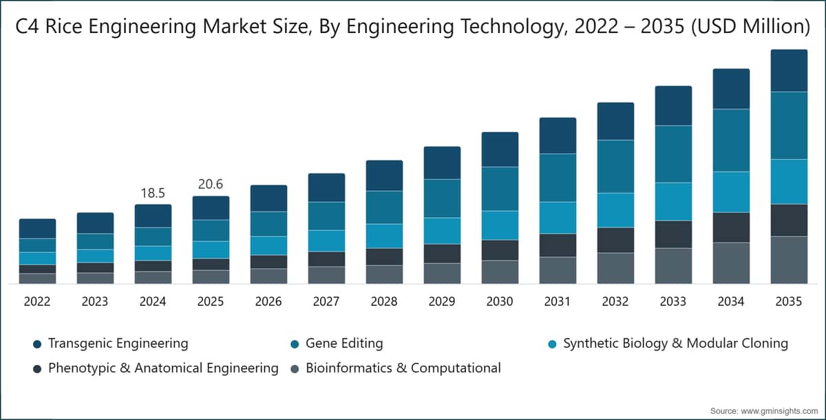 C4水稻工程市场规模，按工程技术划分，2022-2035（百万美元）