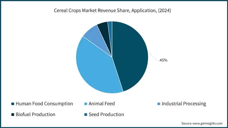 Cereal Crops Market Revenue Share, Application, (2024)