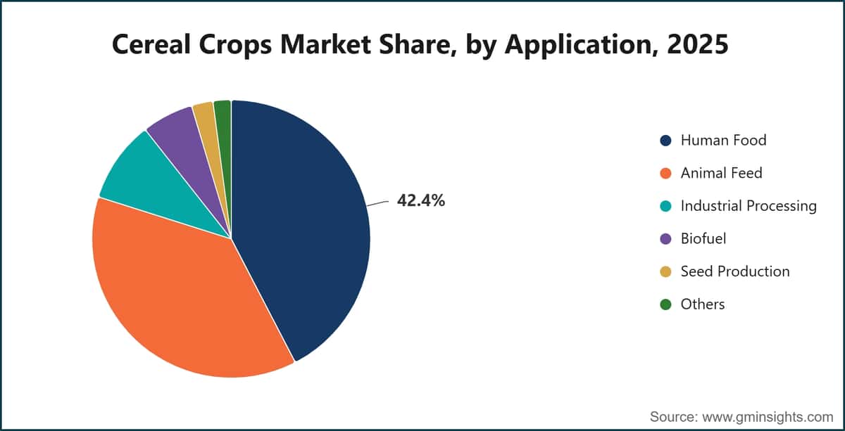 Cereal Crops Market Share, by Application, 2025