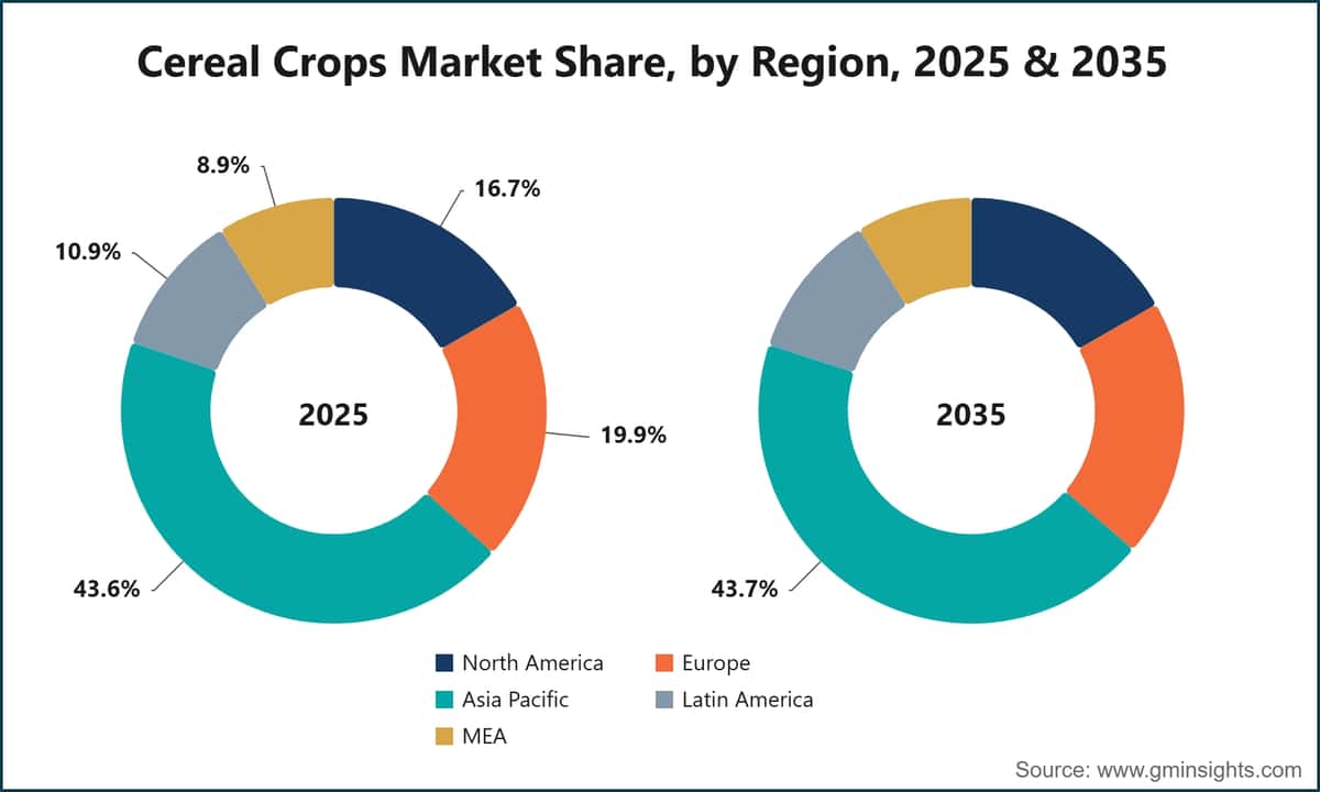 Cereal Crops Market Share, by Region, 2025 & 2035