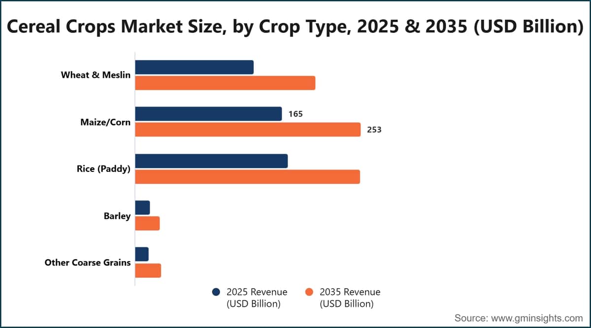 Cereal Crops Market Size, by Crop Type, 2025 & 2035 (USD Billion)