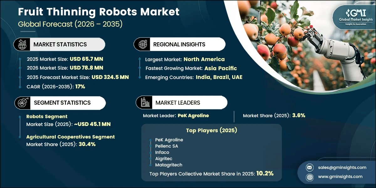Fruit Thinning Robots Market Research Report