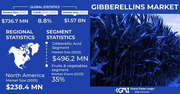 Gibberellins Market