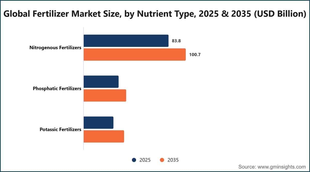 Global Fertilizer Market Size, by Nutrient Type, 2025 & 2035 (USD Billion)