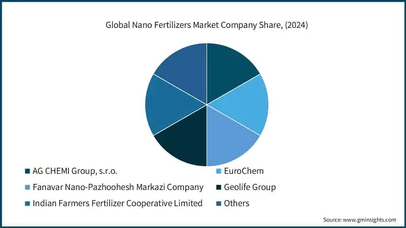 Global Nano Fertilizers Market Company Share, (2024)