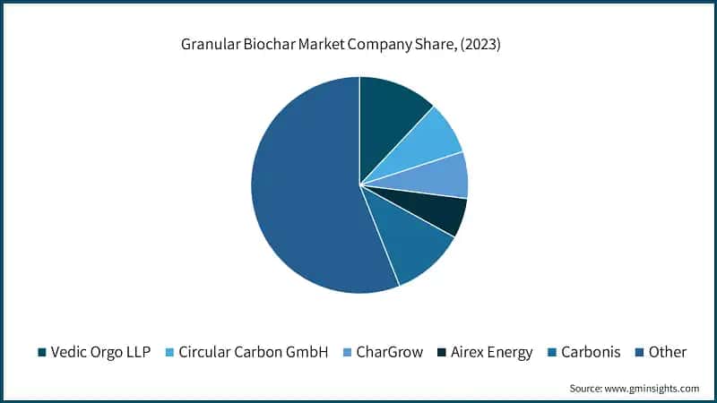 Granular Biochar Market Company Share, (2023)