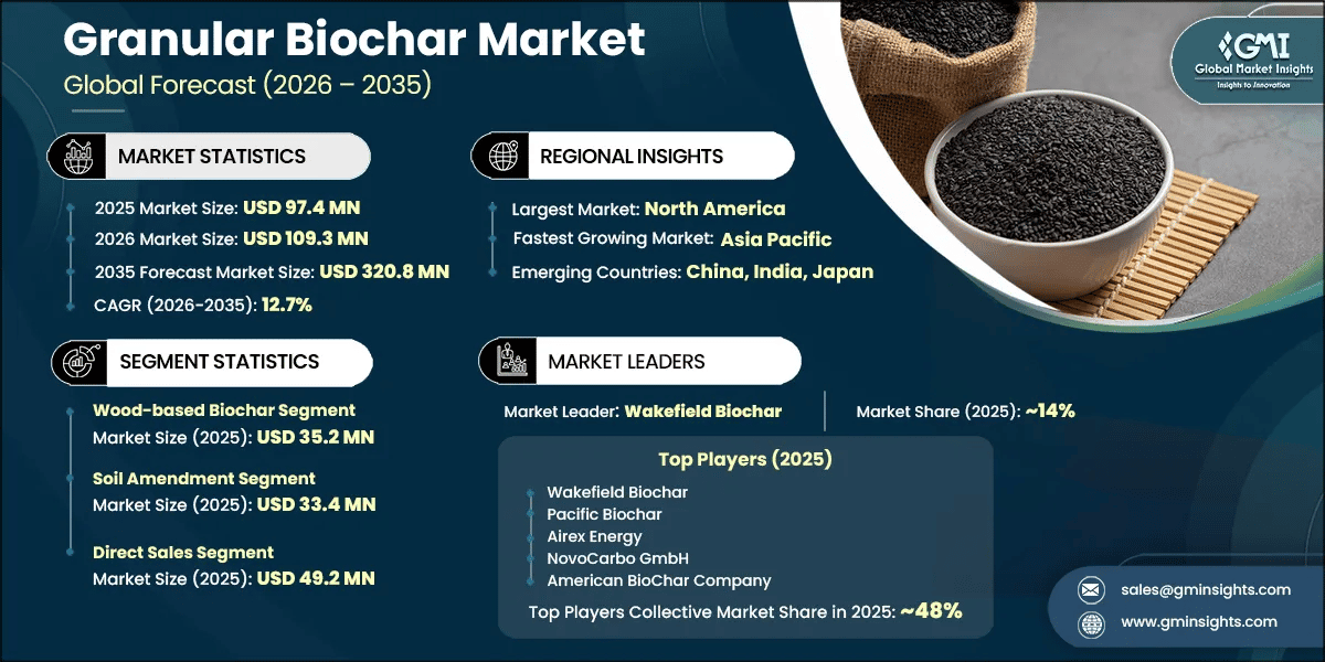 Informe de investigación del mercado de biocarbón granular
