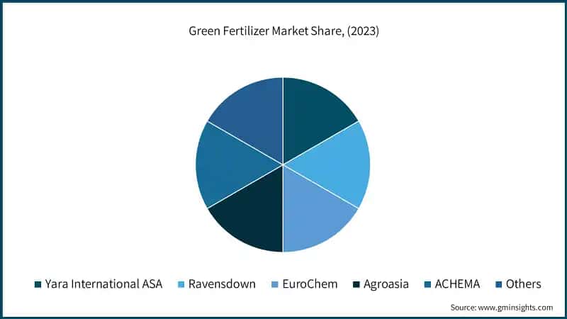 Green Fertilizer Market Share, (2023)