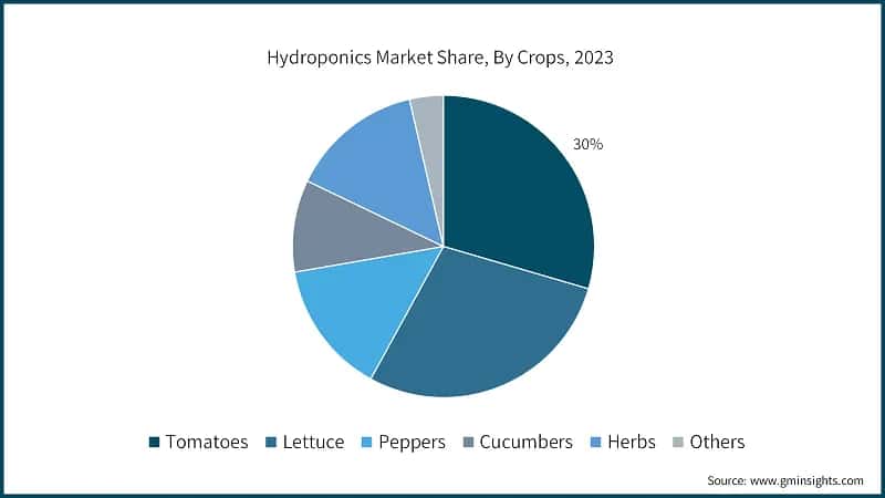 Hydroponics Market Share, By Crops, 2023