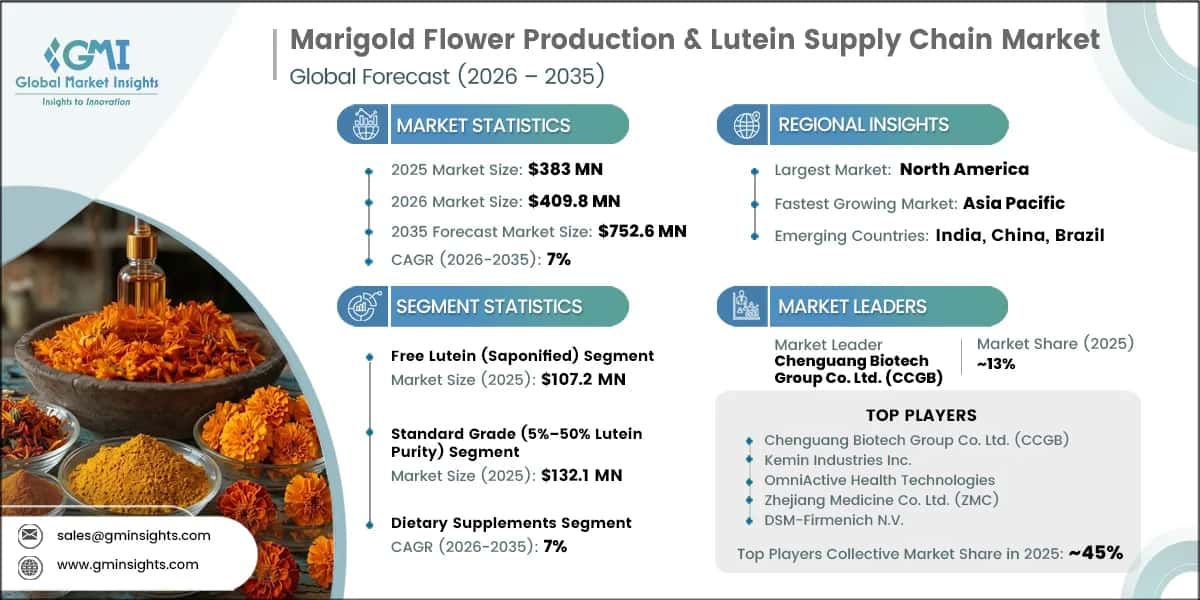 Marigold Flower Production & Lutein Supply Chain Market Research Report