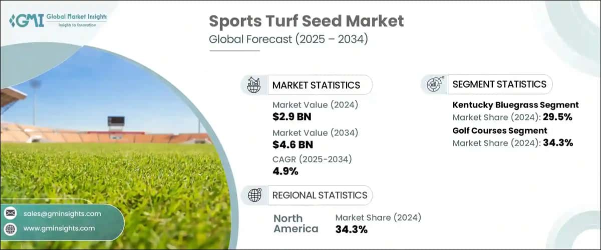 Sports Turf Seed Market 