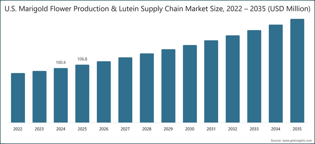 U.S. Marigold Flower Production & Lutein Supply Chain Market Size, 2022 – 2035 (USD Million)