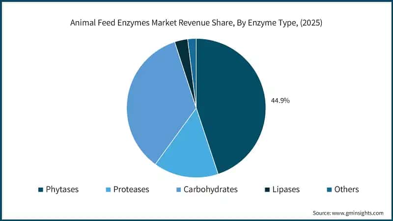 Animal Feed Enzymes Market Revenue Share, By Enzyme Type, (2025)