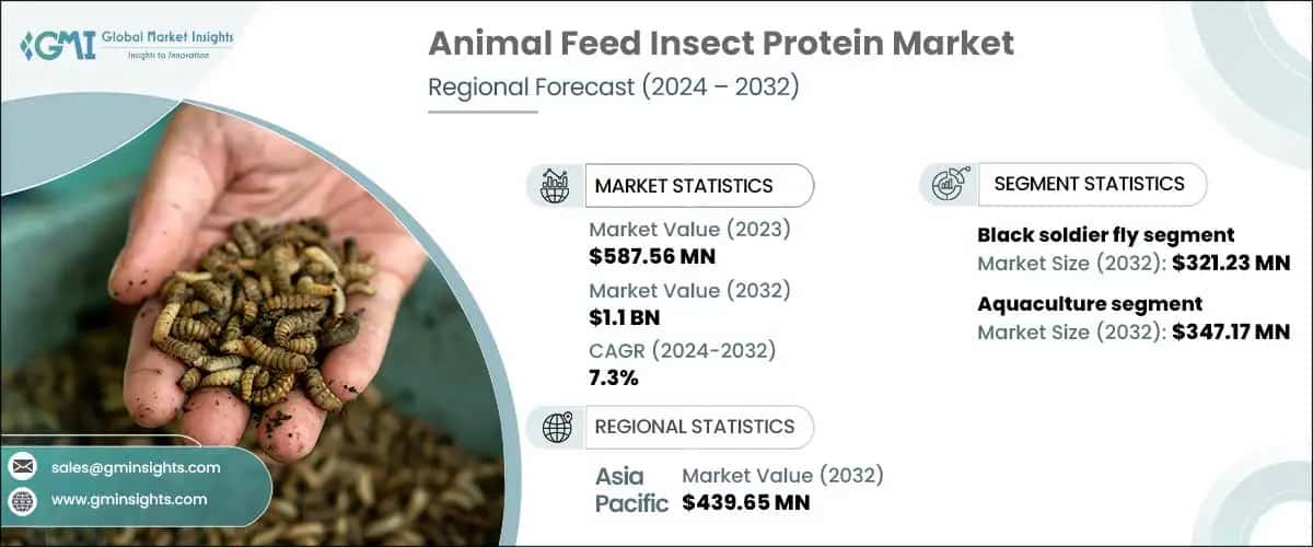 Animal Feed Insect Protein Market
