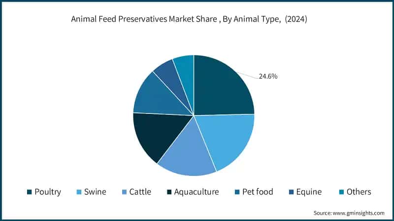 Animal Feed Preservatives Market Share, By Animal Type, (2024)