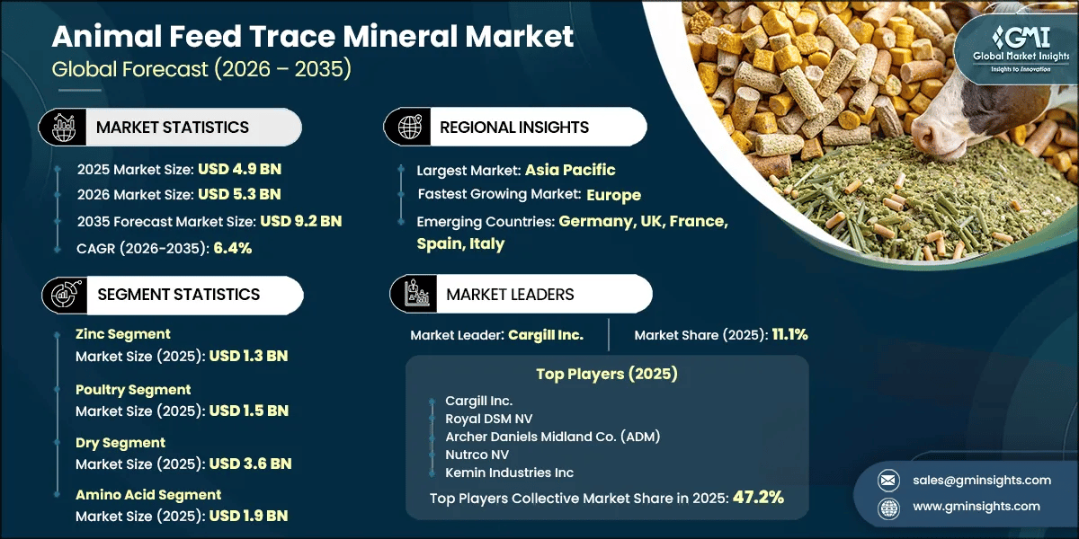 Report di ricerca sul mercato dei minerali in tracce per mangimi