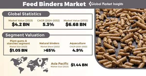 Feed Binders Market