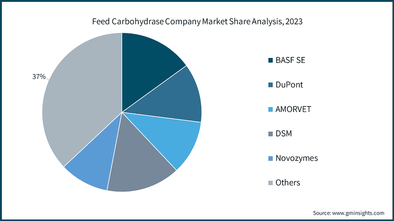 Feed Carbohydrase Company Market Share Analysis, 2023