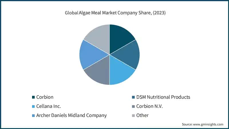 North America Algae Meal Market&nbsp; Size, 2020- 2032 (USD Billion)
