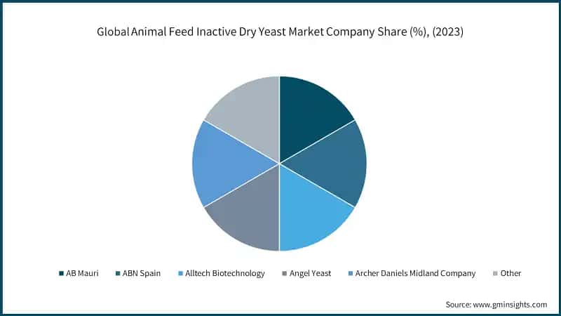 Animal Feed Inactive Dry Yeast Market Company Share, (2023)