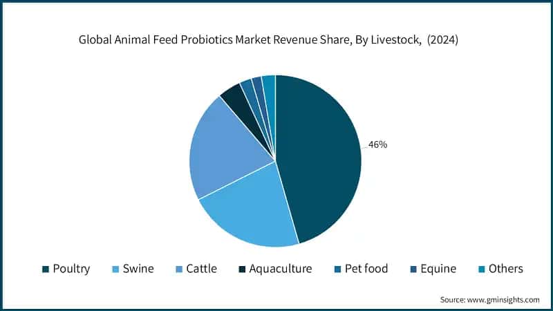 Global Animal Feed Probiotics Market Size, By Product, 2021 - 2034 (USD Million)