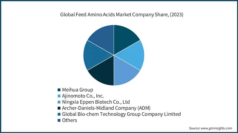 Global Feed Amino Acids Market Company Share, (2023)