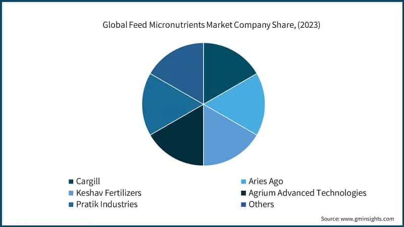 Global Feed Micronutrients Market Company Share, (2023)