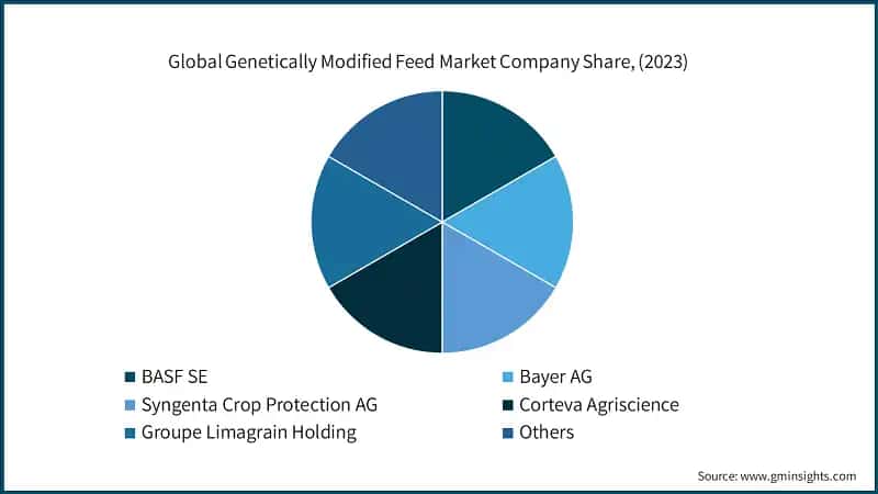 Global Genetically Modified Feed Market Company Share, (2023)