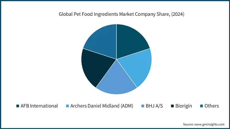 Global Pet Food Ingredients Market Company Share, (2024)