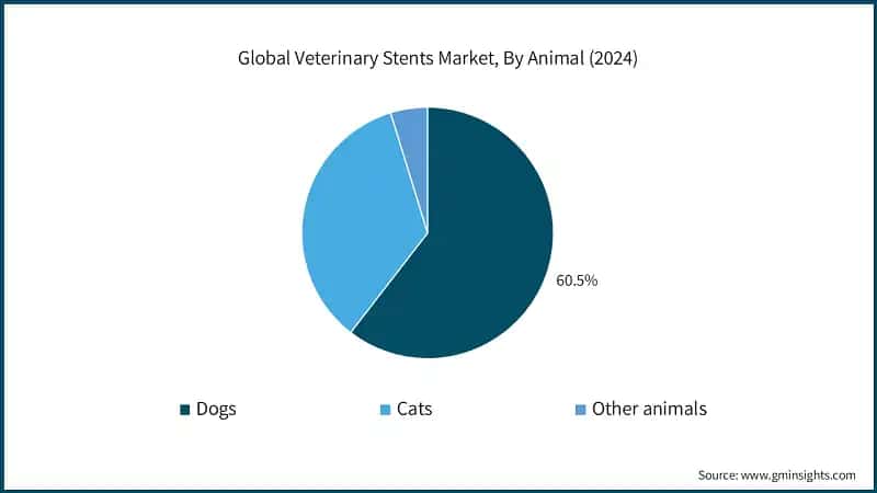 Global Veterinary Stents Market, By Animal (2024)