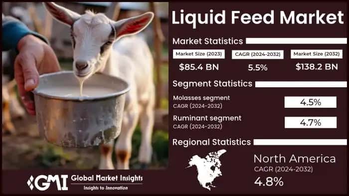 Liquid Feed Market