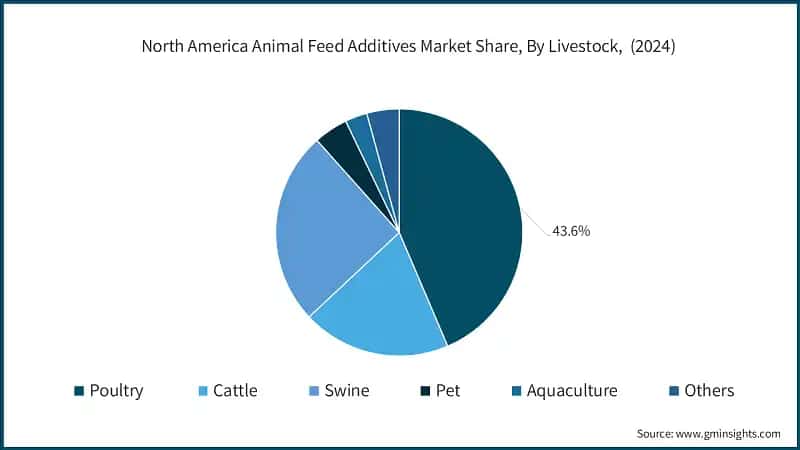 North America Animal Feed Additives Market Share, By Livestock, (2024)