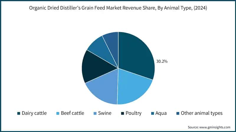 Organic Dried Distiller’s Grain Feed Market Revenue Share, By Animal Type, (2024)