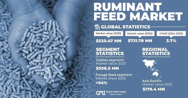 Ruminant Feed Market