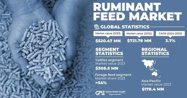 Ruminant Feed Market