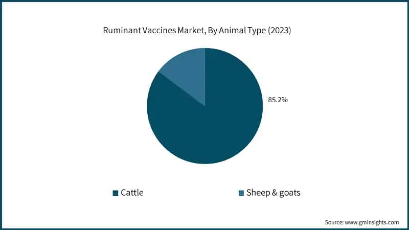 Ruminant Vaccines Market, By Animal Type (2023)
