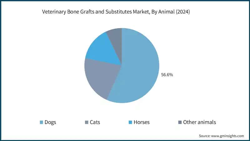 Veterinary Bone Grafts and Substitutes Market, By Animal (2024)