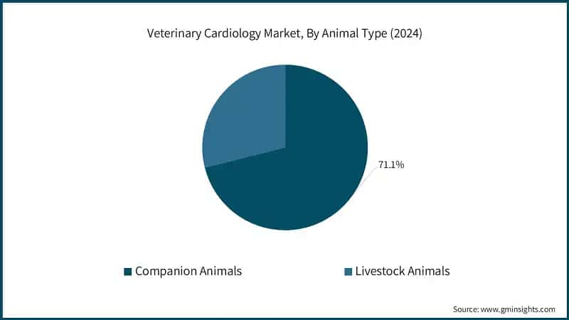 Veterinary Cardiology Market, By Animal Type (2024)