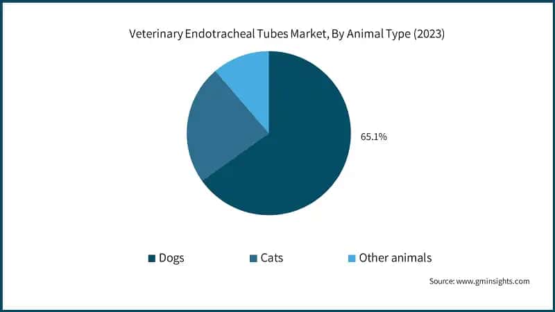 Veterinary Endotracheal Tubes Market, By Animal Type (2023)